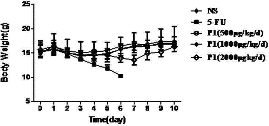 PD-L1 affinity peptide with anti-tumour activity and application for same