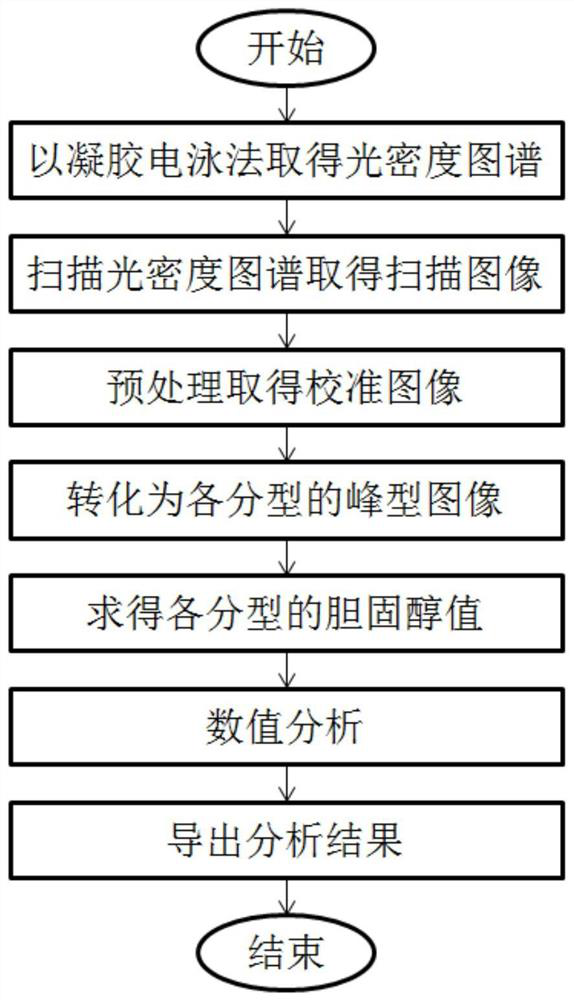 Lipoprotein subtyping detection method and system