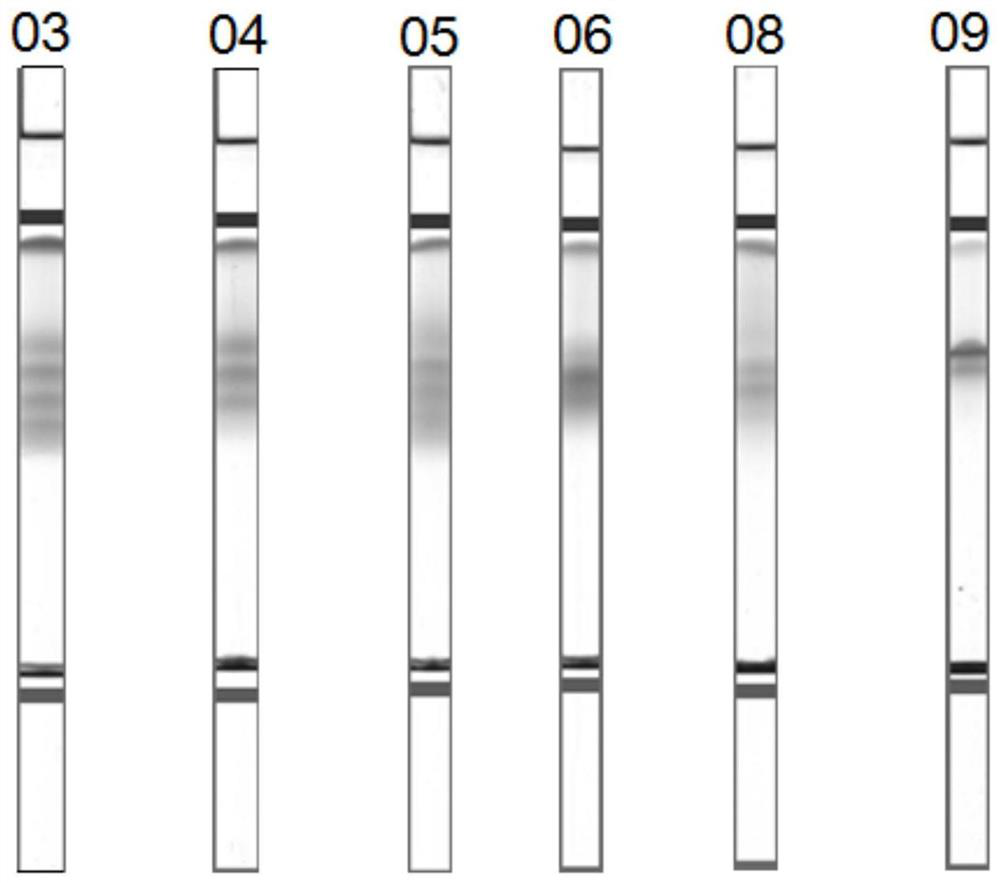 Lipoprotein subtyping detection method and system