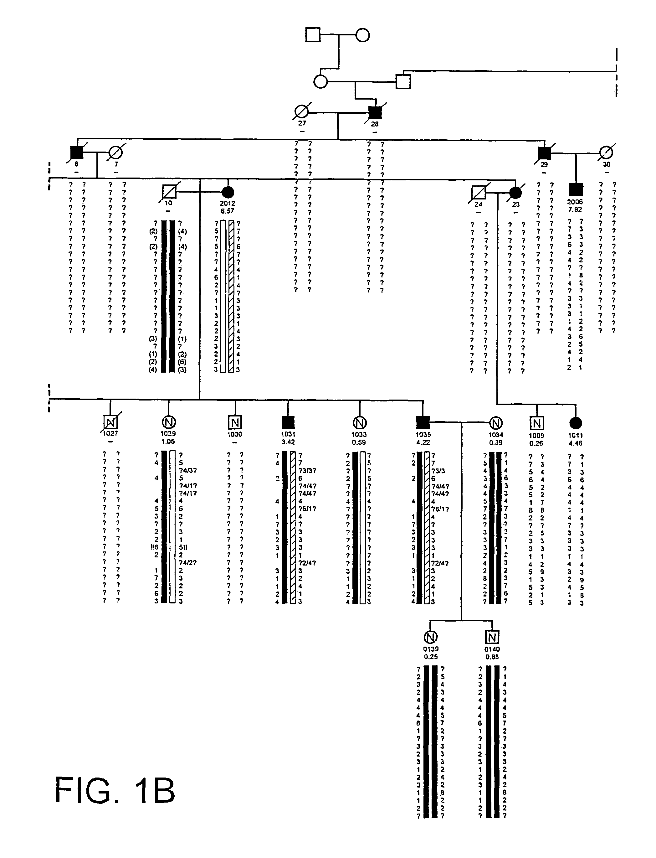 HBM variants that modulate bone mass and lipid levels