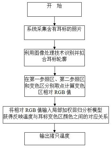 Method and system for temperature detection using temperature-sensitive color-changing ear tags of pigs