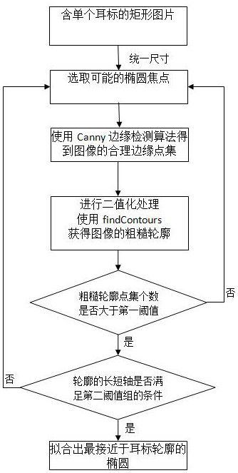 Method and system for temperature detection using temperature-sensitive color-changing ear tags of pigs