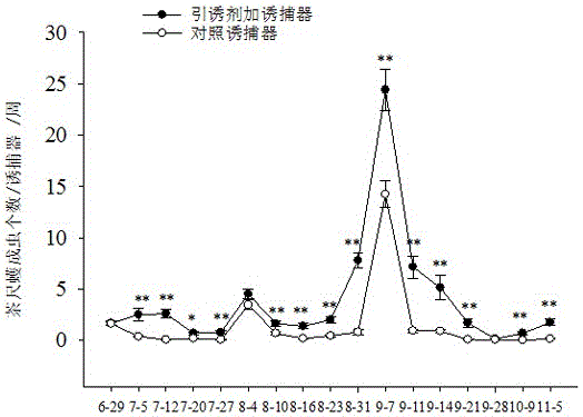 Method for controlling and monitoring tea geometrids using volatile attractant