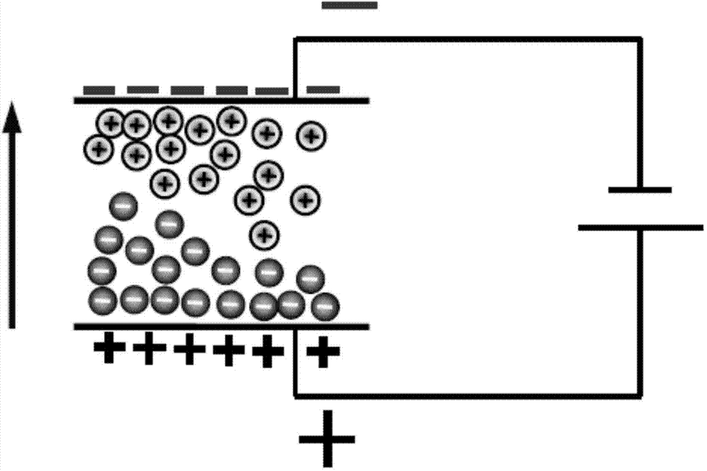 Electronic paper display device