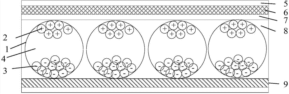 Electronic paper display device