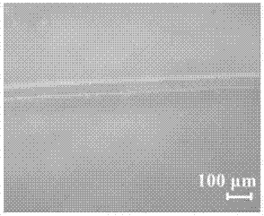 Self-healing sulfobetaine zwitterionic nano composite aquagel and preparation method thereof