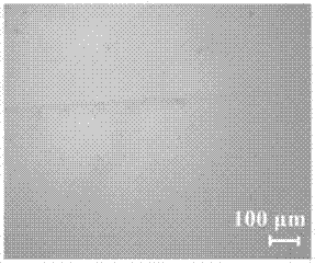 Self-healing sulfobetaine zwitterionic nano composite aquagel and preparation method thereof