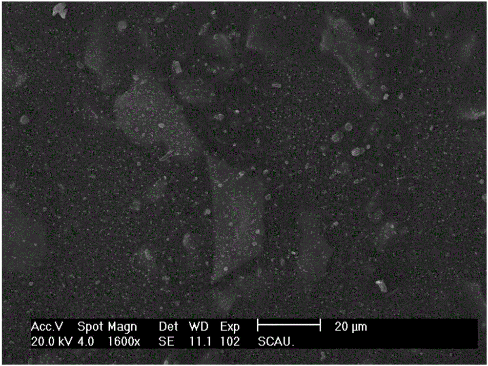 Petrochemical water-based high-temperature-resistant, anticorrosive and abrasion-resistant coating and method for preparing same