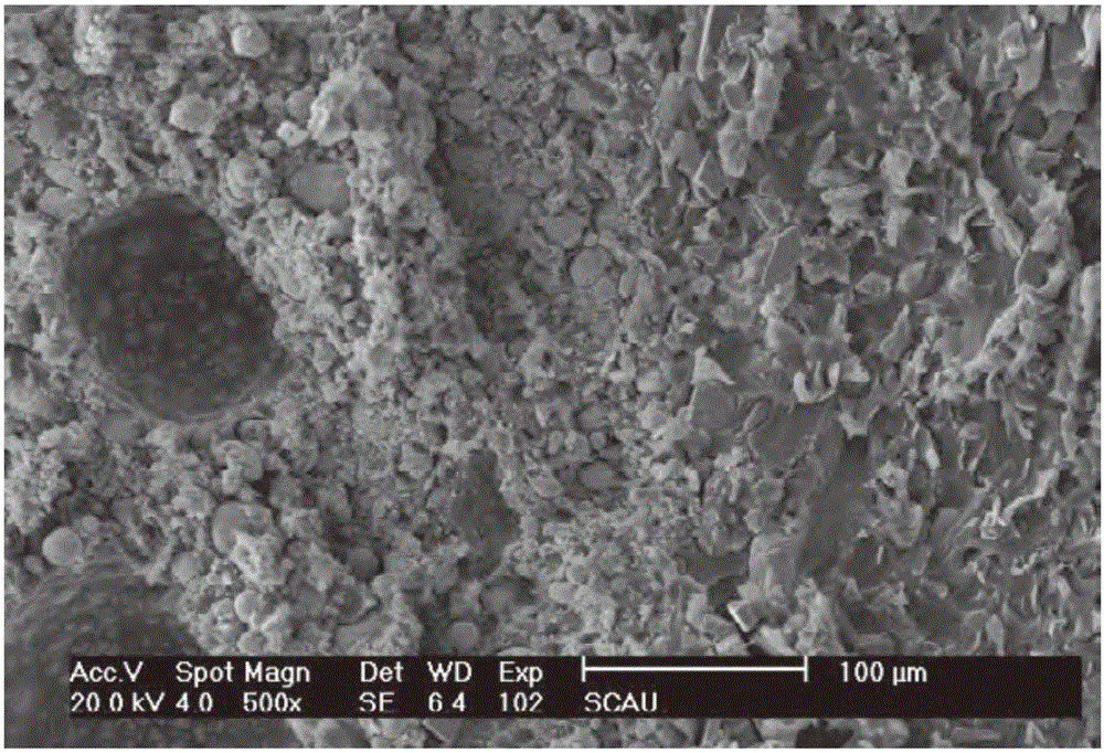 Petrochemical water-based high-temperature-resistant, anticorrosive and abrasion-resistant coating and method for preparing same