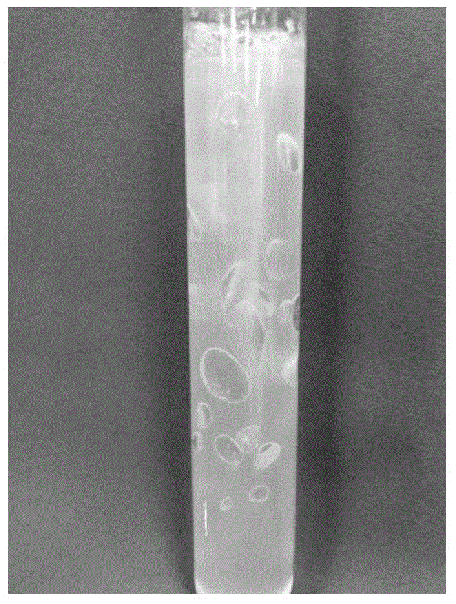 High-temperature-resistant aerobic denitrification bacterial strain and application of same