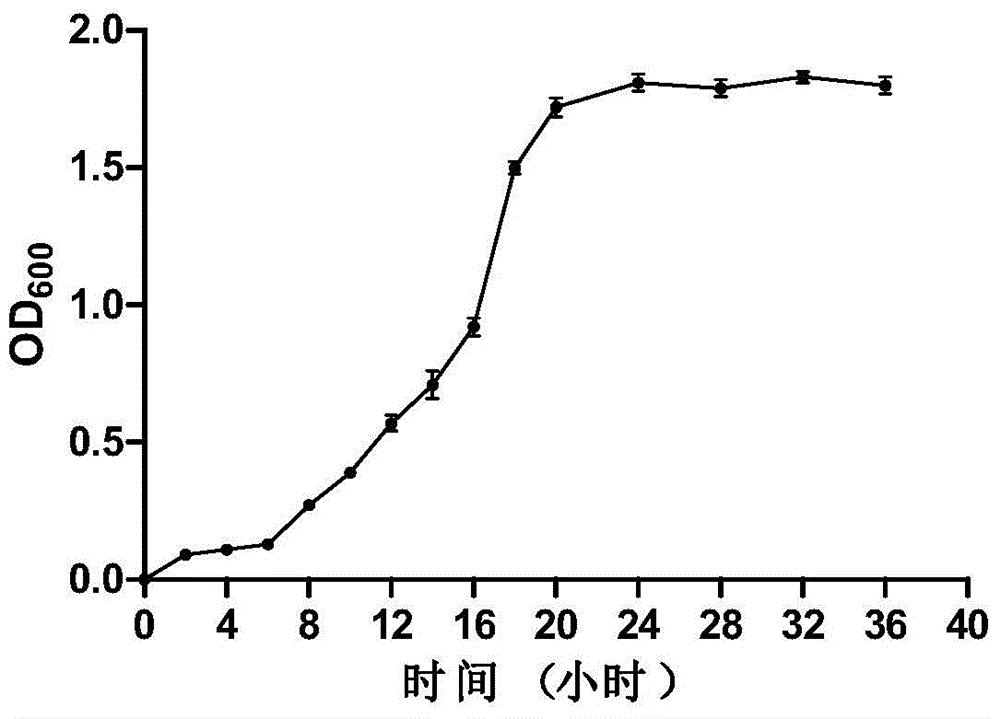 High-temperature-resistant aerobic denitrification bacterial strain and application of same