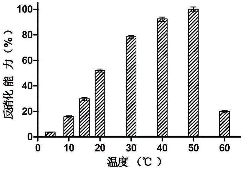 High-temperature-resistant aerobic denitrification bacterial strain and application of same