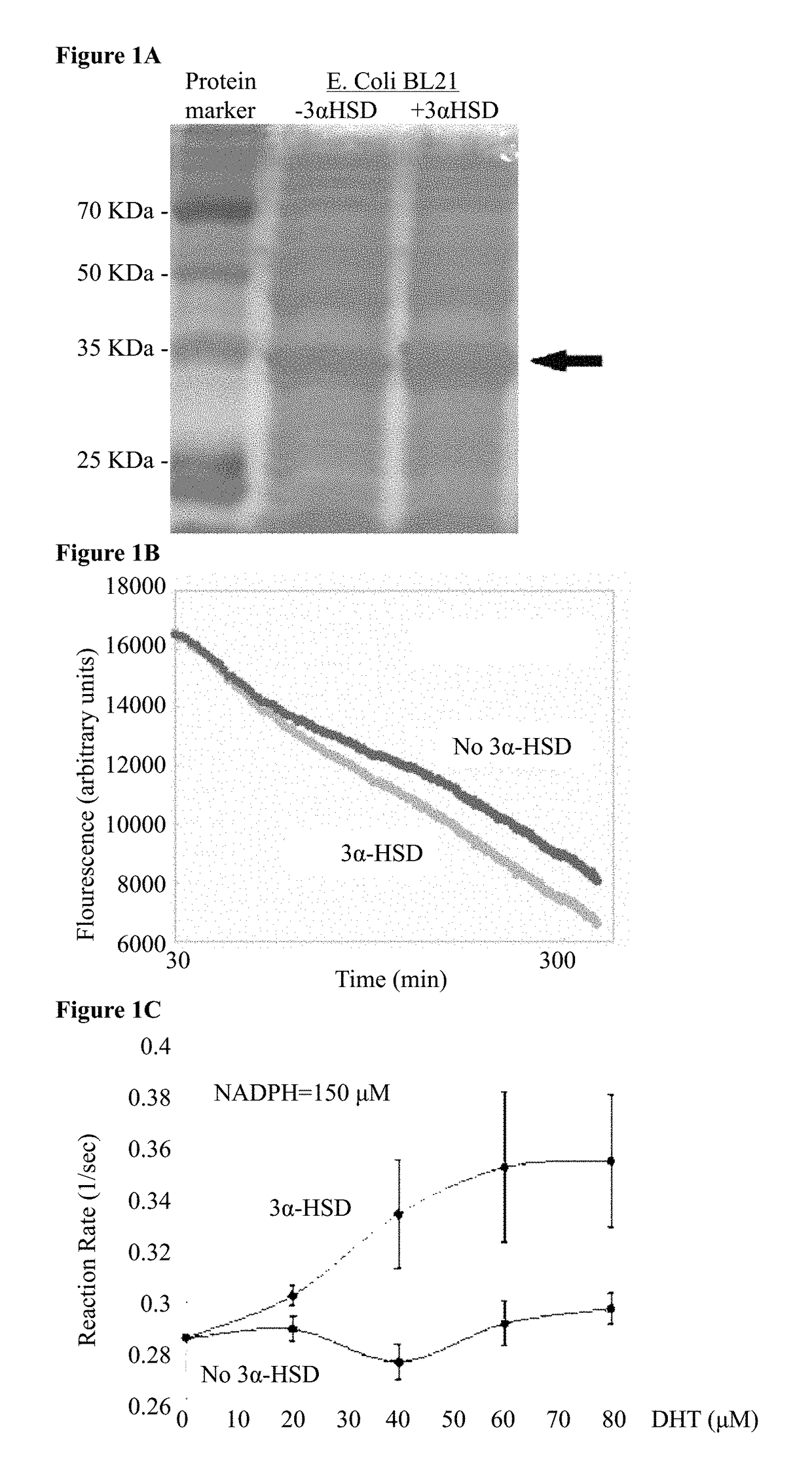 Composition and method for treating androgen-dependent disorders