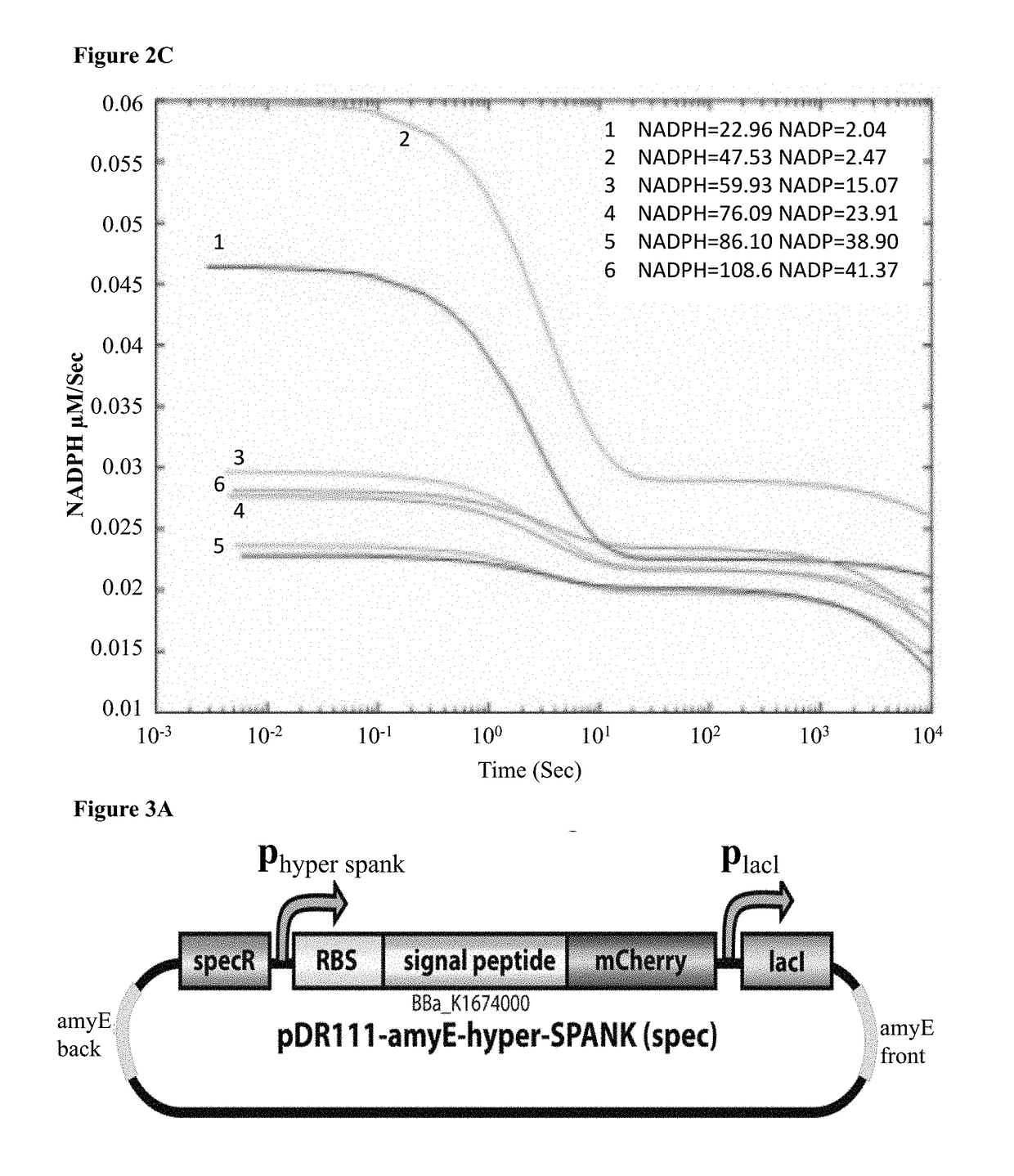 Composition and method for treating androgen-dependent disorders