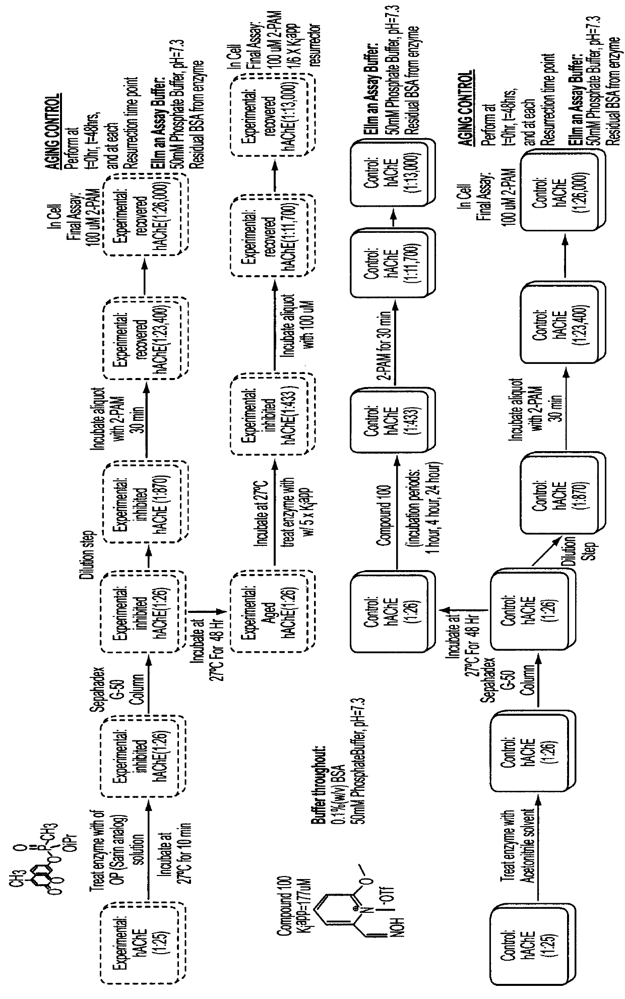 Compounds and methods to treat organophosphorus poisoning