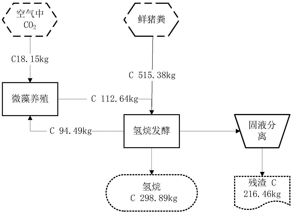 A method for processing organic waste by coupling hydrogenation fermentation with microalgae cultivation