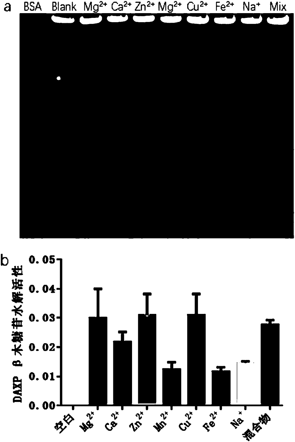 Actinomycetes culture medium and application thereof