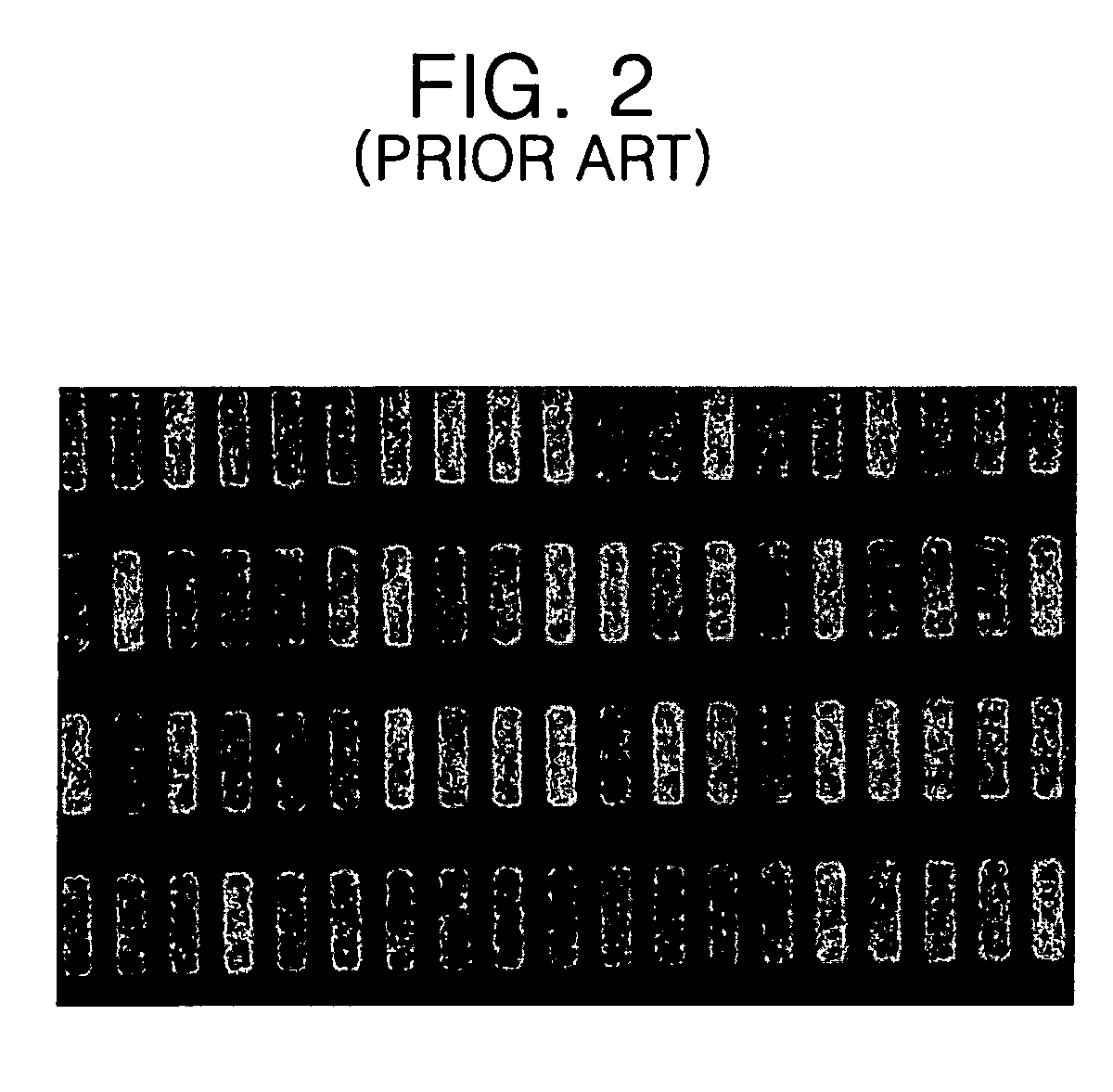 Organic light emitting device and method of fabricating the same