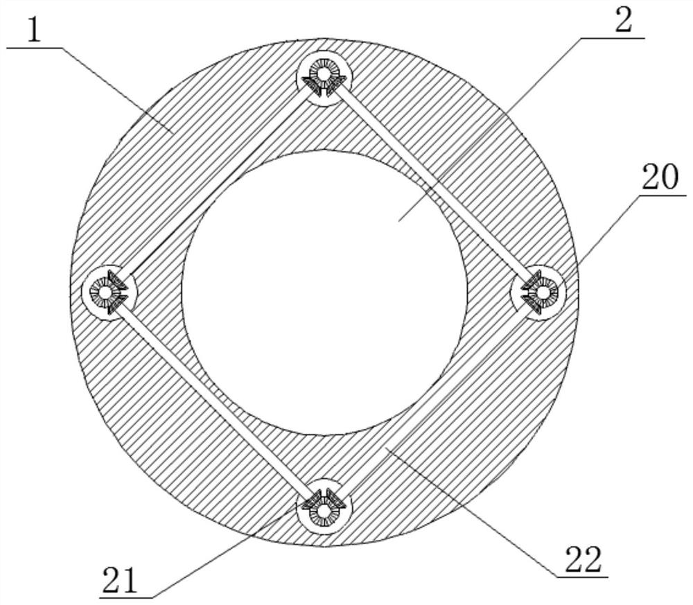 Marine organism model display device