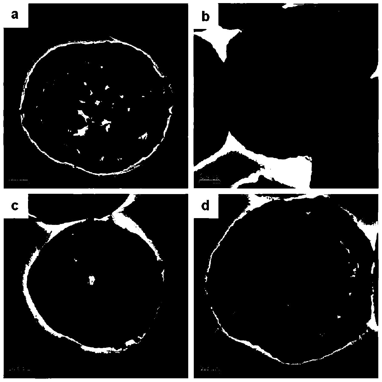 Preparation method of manganese doped double-shell-layer calcium carbonate hollow microsphere CO2 adsorbent