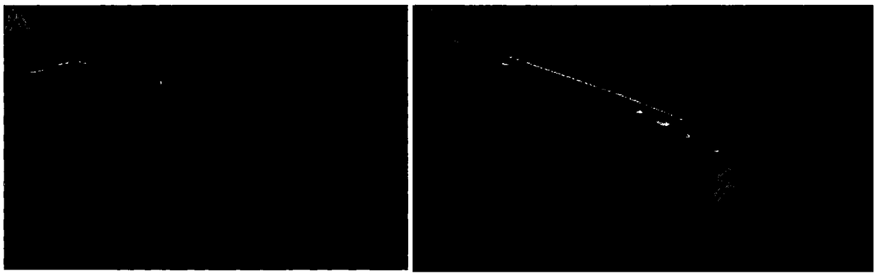 Biocontrol preparation with nematicidal function and preparation method thereof