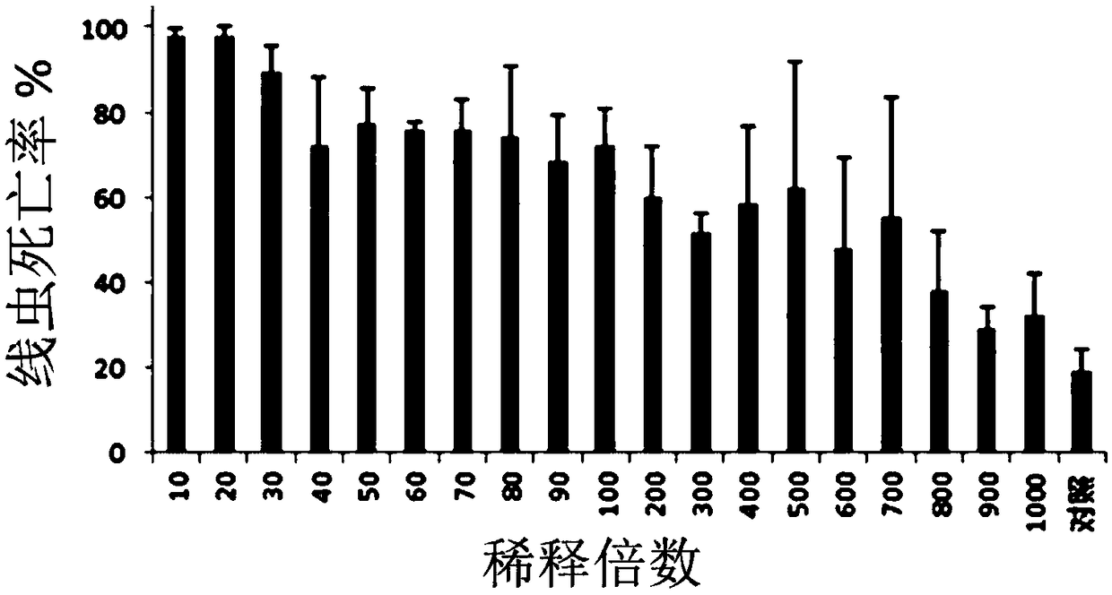 Biocontrol preparation with nematicidal function and preparation method thereof