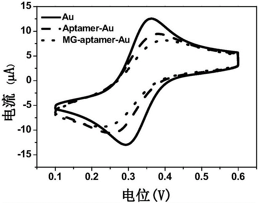 Aptamer electrochemistry biosensor capable of detecting malachite green and preparation method thereof