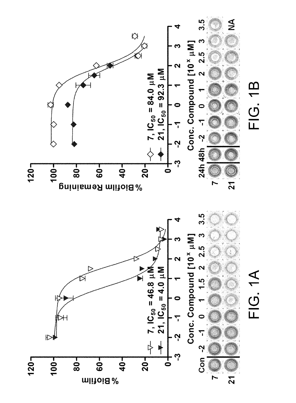 Inhibition and dispersion of bacterial biofilms with 2-aminobenzimidazole derivatives