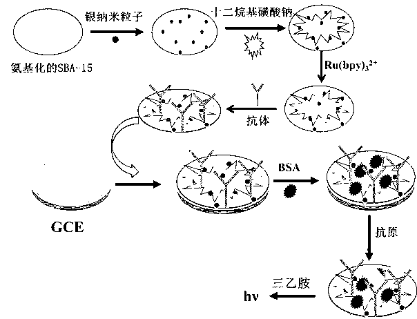 Manufacture method and application of silver hybridization SBA-15 electrochemical luminescence immunosensor