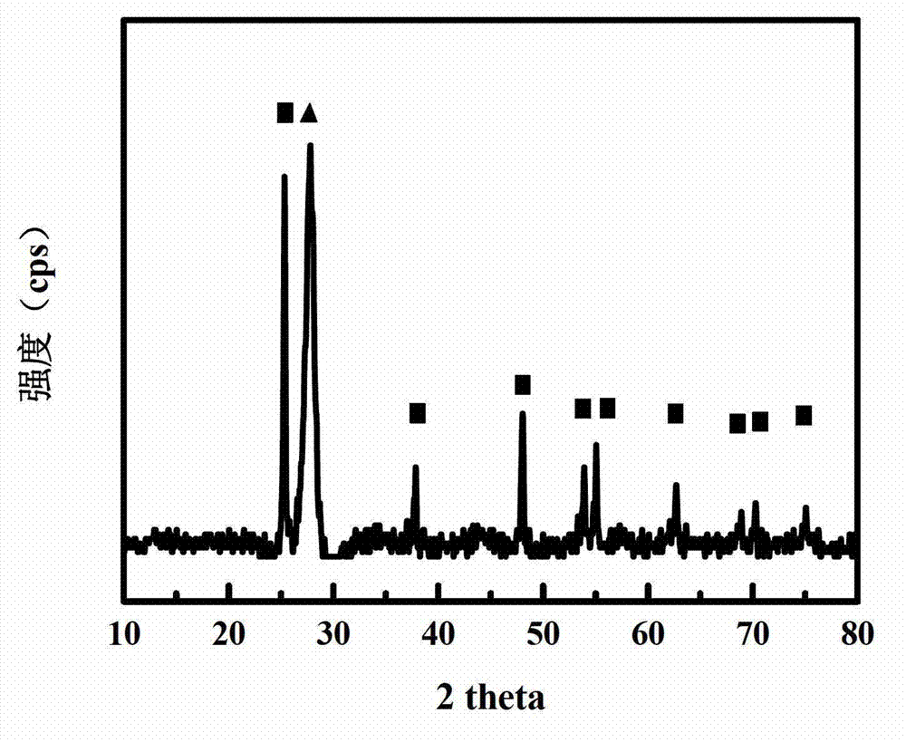 Composite visible-light catalyst for TiO2 microsphere and g-C3N4, as well as preparation method and application of catalyst