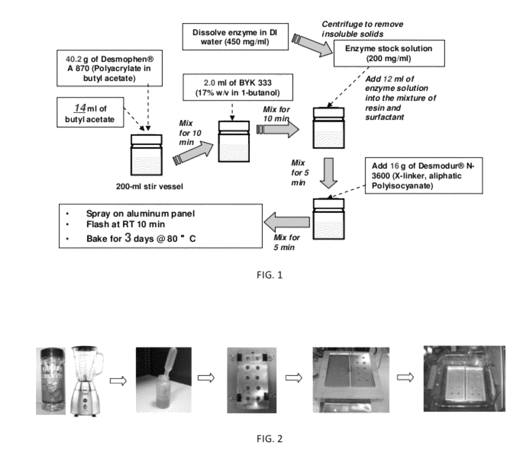 Thermolysin-like protease for cleaning insect body stains