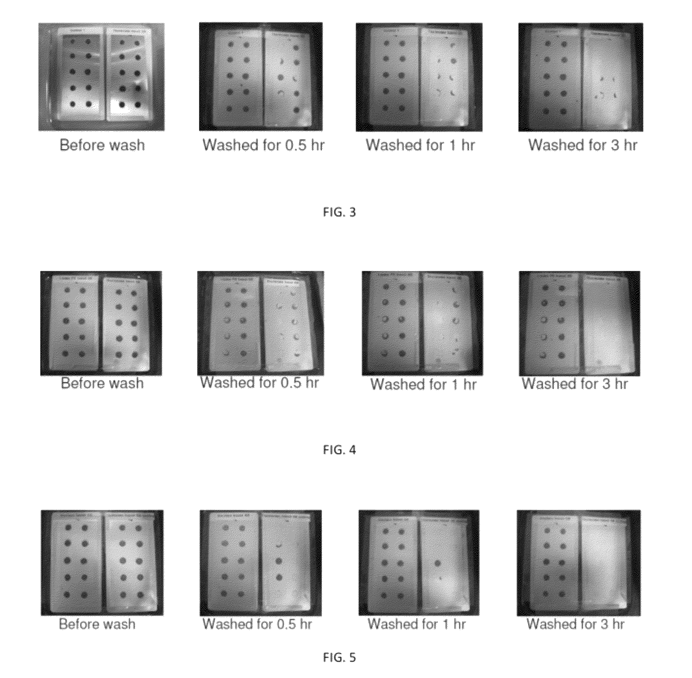 Thermolysin-like protease for cleaning insect body stains