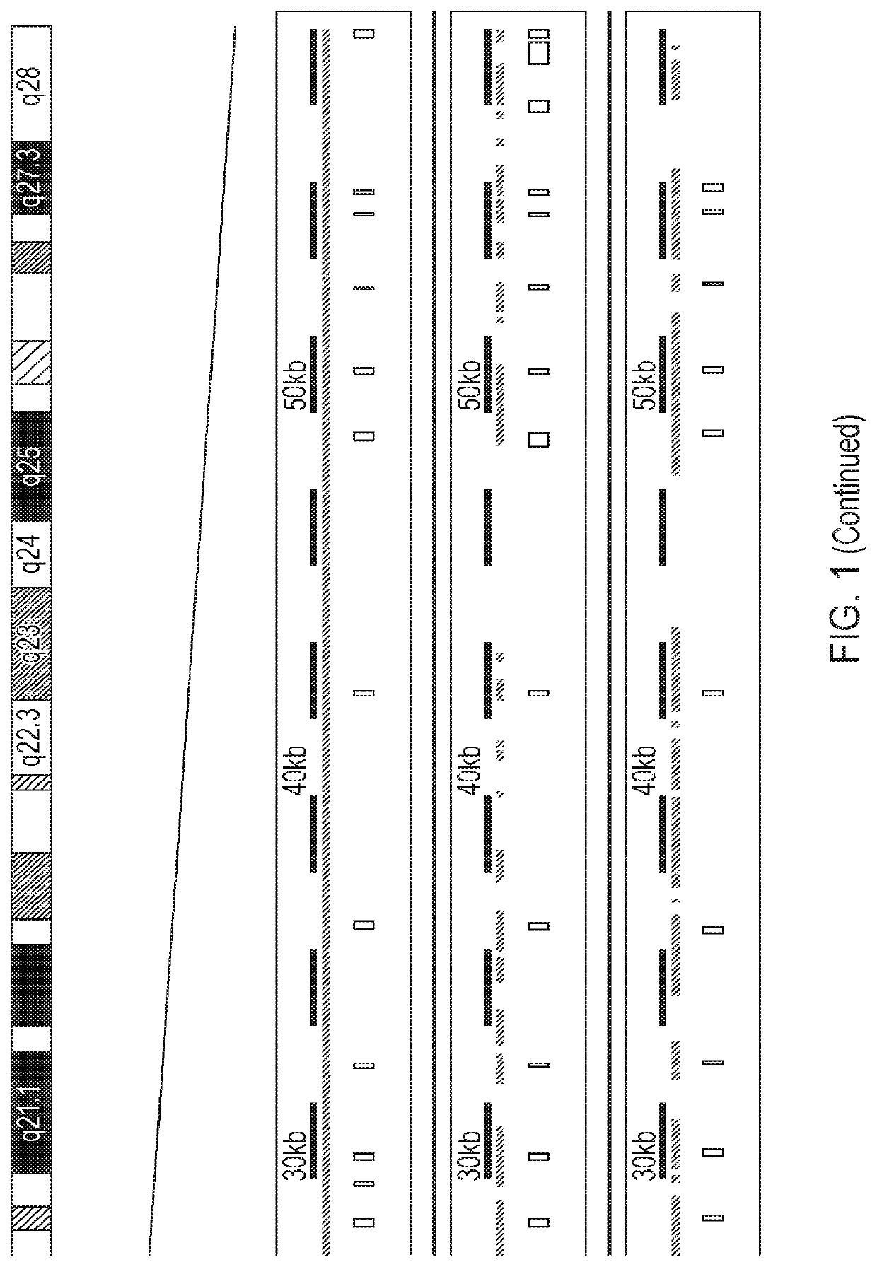 Treatment of retinitis pigmentosa