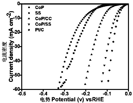 Preparation method and application of cobalt phosphide porous nanowire/stainless steel composite electrocatalyst