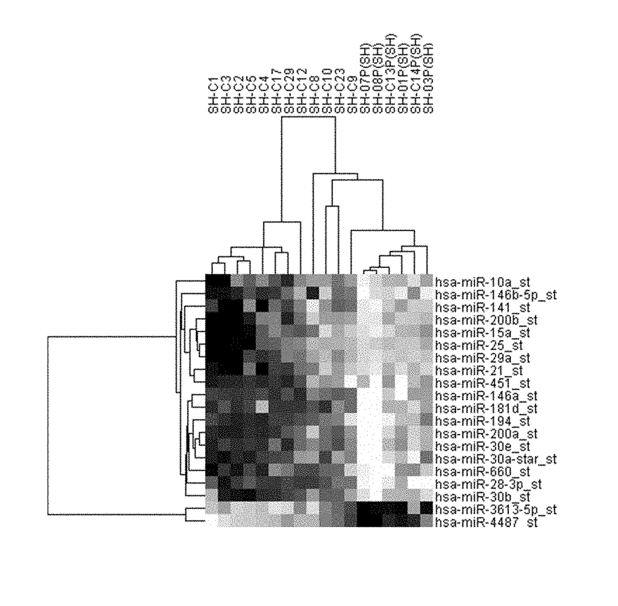 Methods and kits for assessing the risk of developing or  diagnosing endometrial cancer