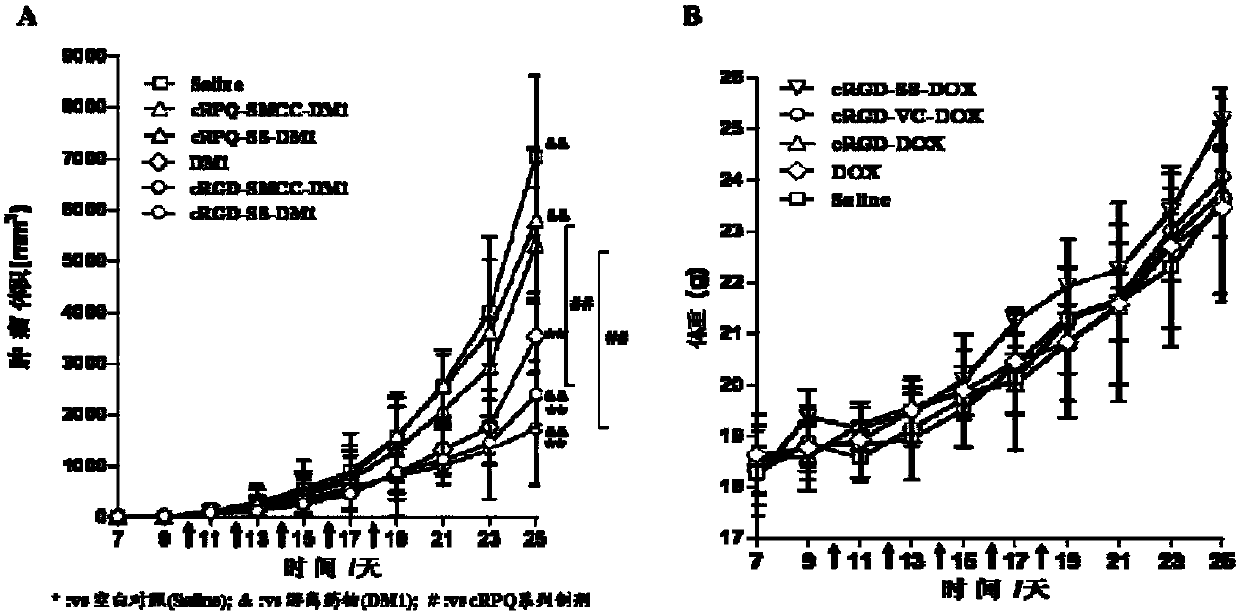 Micromolecular conjugate based on RGD polypeptide-chemotherapy drug and nanometer prodrug system thereof