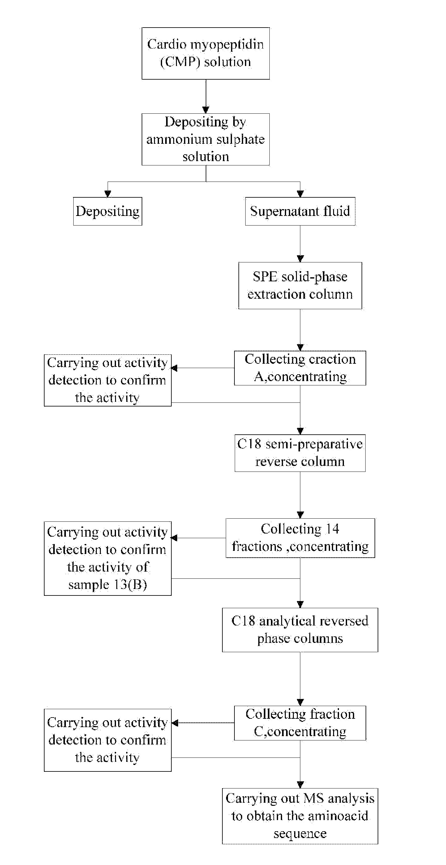 Myocardial peptide, preparation method and uses thereof