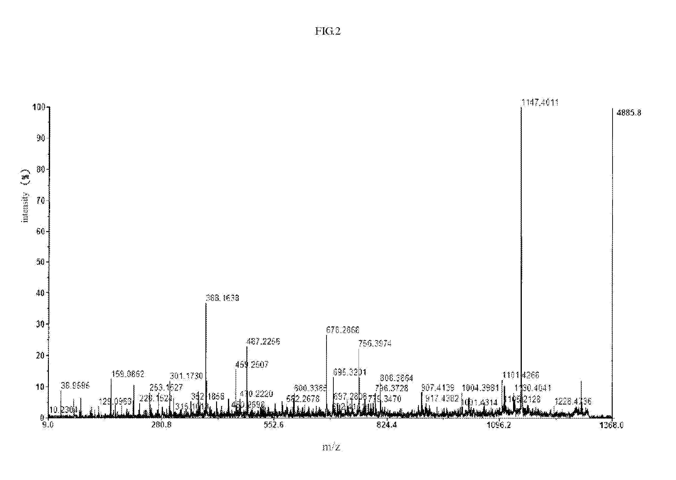 Myocardial peptide, preparation method and uses thereof