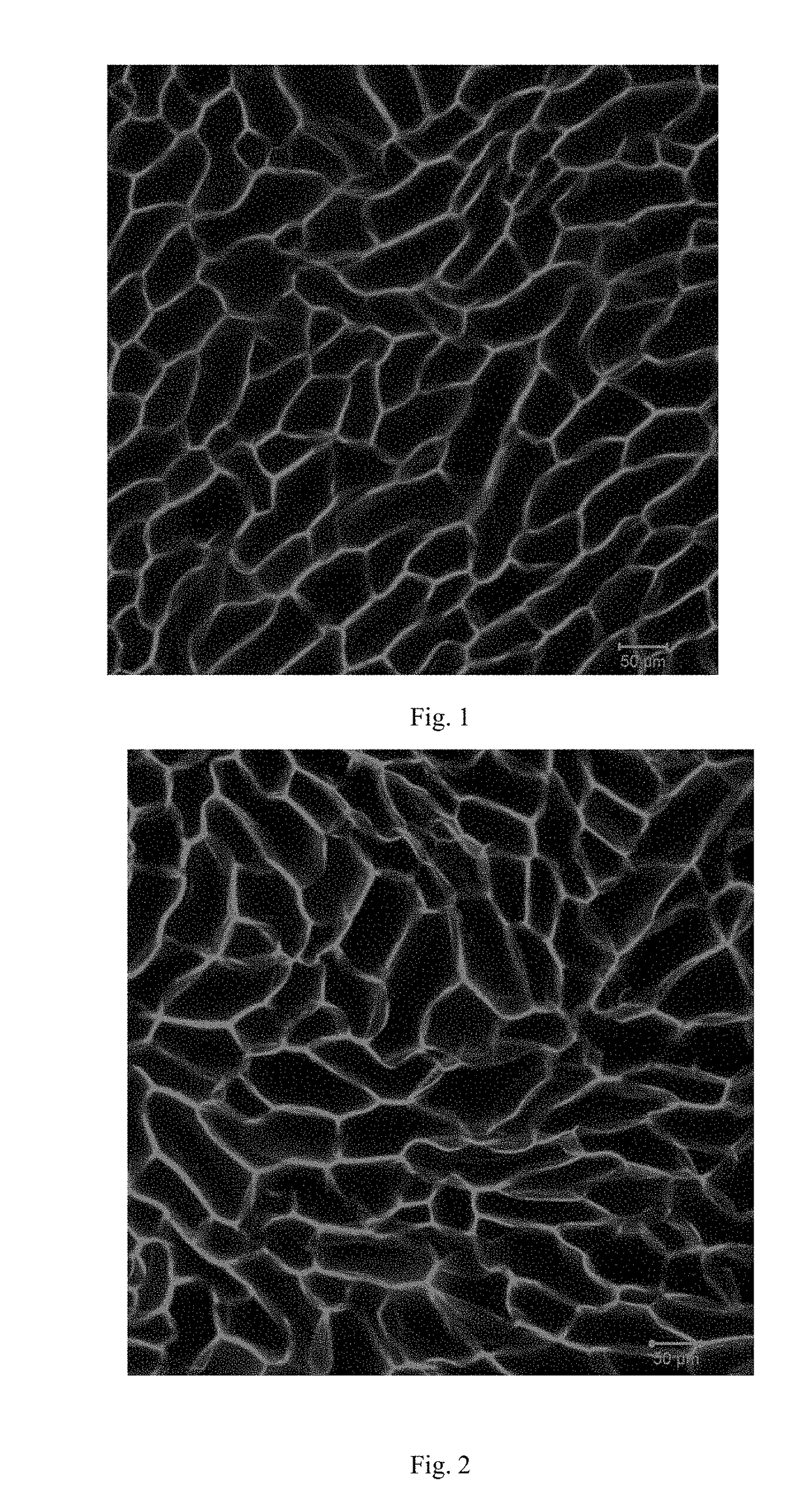 Method for preparing porous hydrogel through freezing-illumination