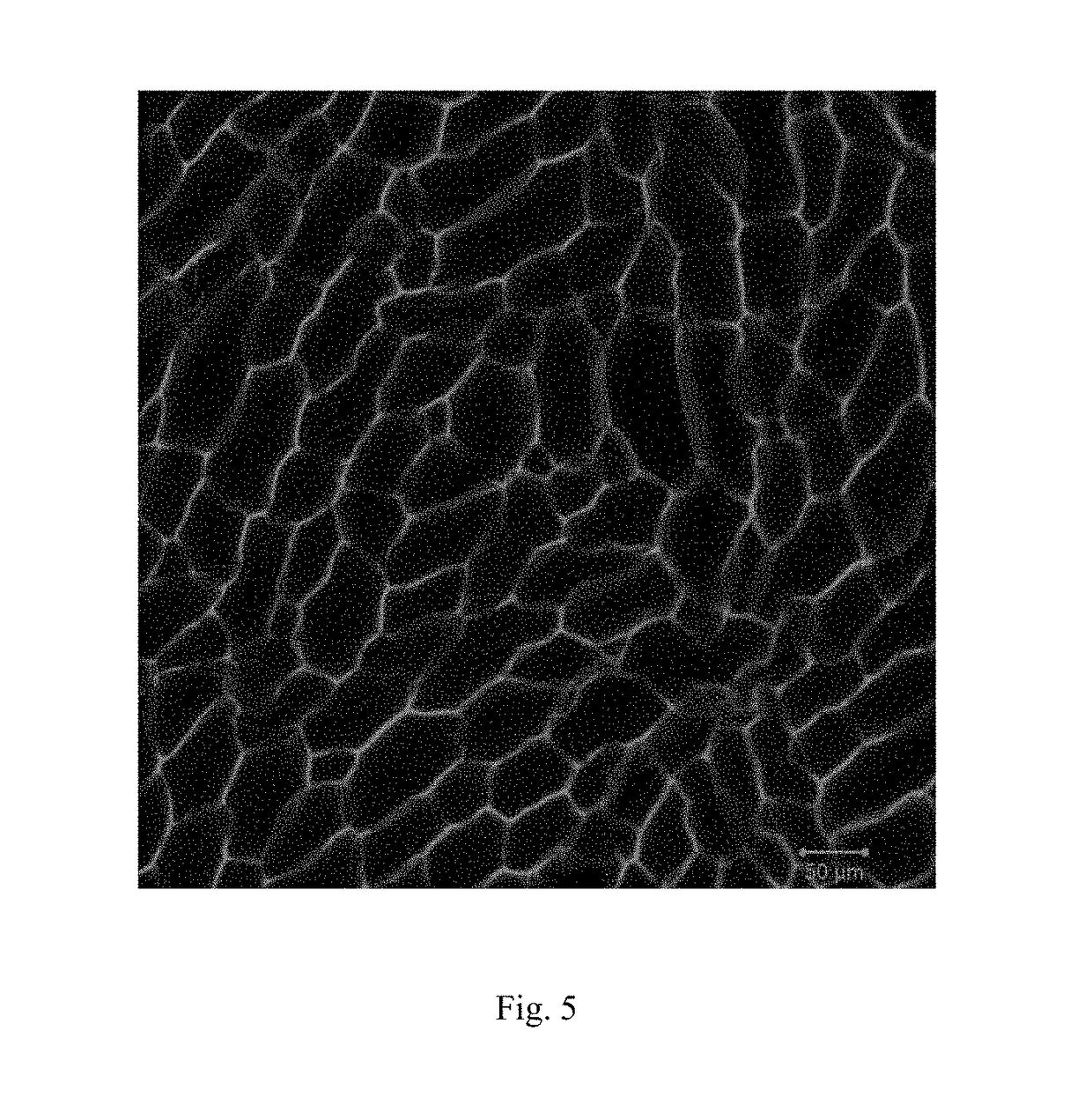 Method for preparing porous hydrogel through freezing-illumination