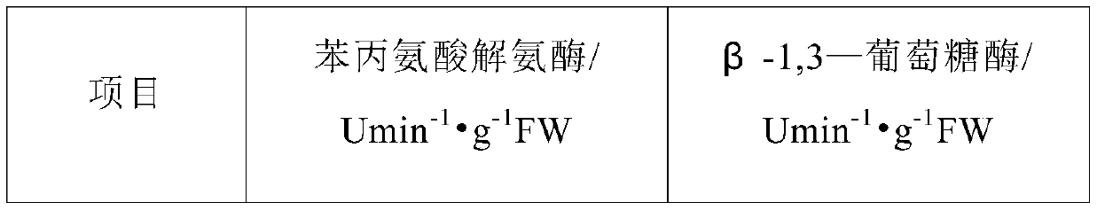 Anti-replant problem soil conditioner for greenhouse strawberries and preparation method thereof