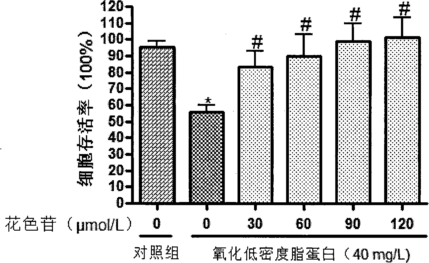 Applications of anthocyanin and regulation for CHOP gene in preventing and treating atherosclerosis