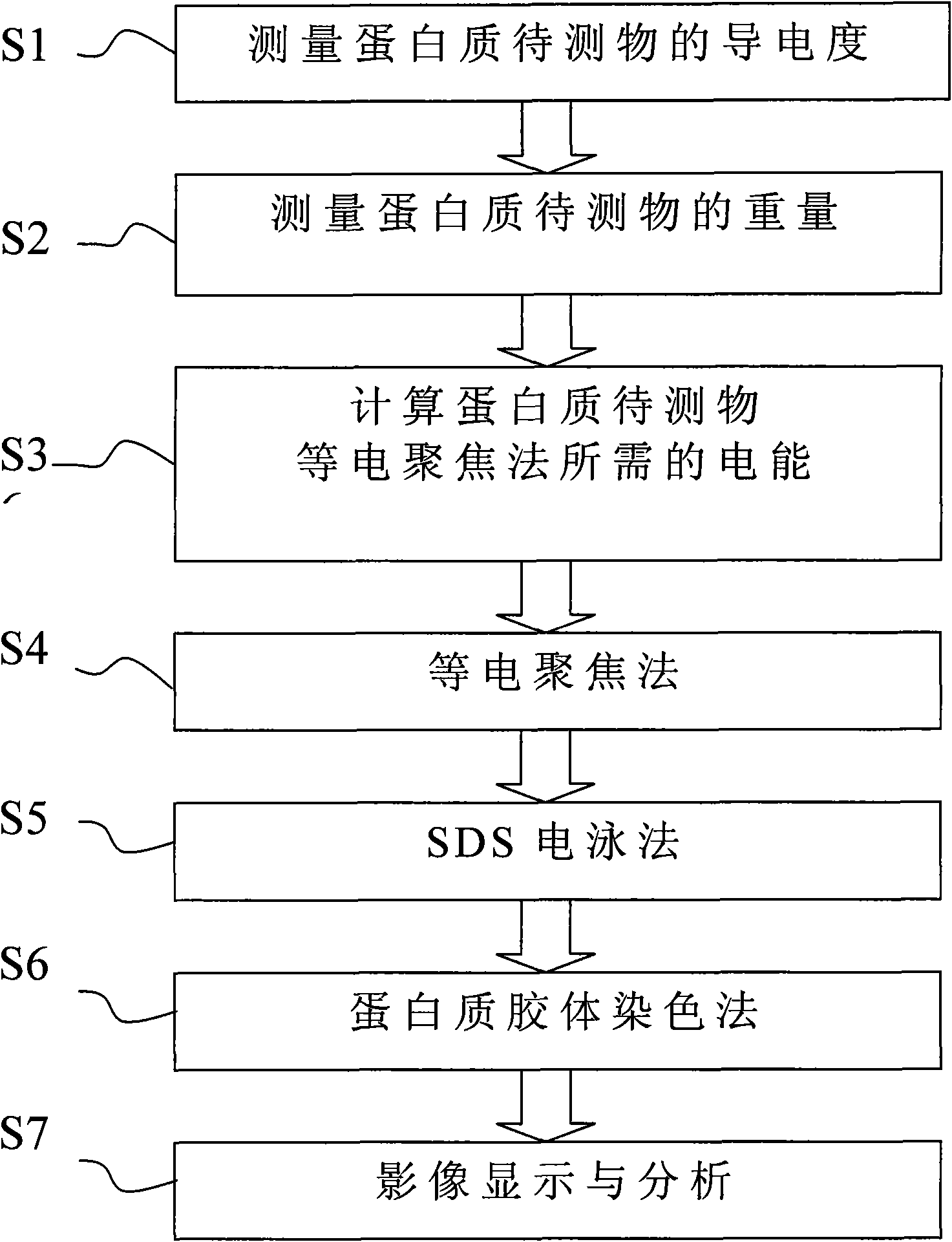 Method for improving measurement accuracy through two-dimensional protein electrophoresis