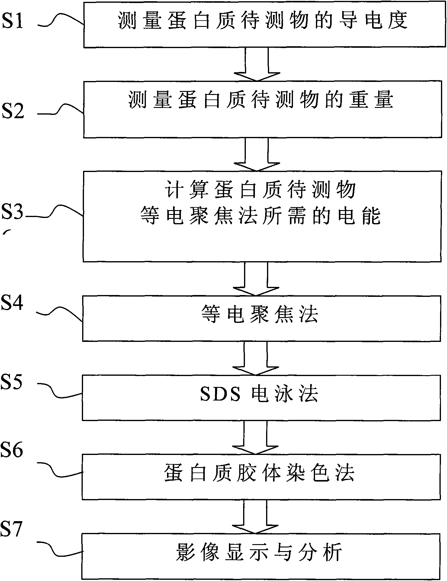 Method for improving measurement accuracy through two-dimensional protein electrophoresis