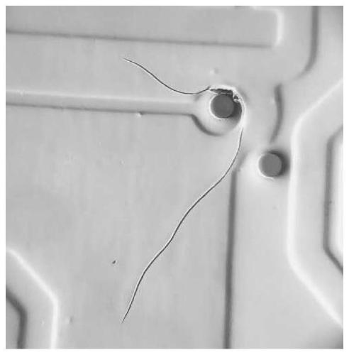 A white alkali-soluble photosensitive composition and its preparation method and application