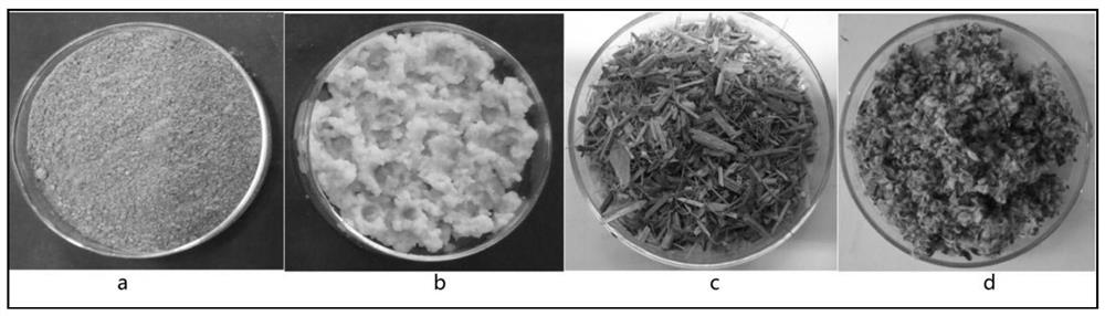 Application of an edible fungus bag based on walnut shell/meal in strain cultivation