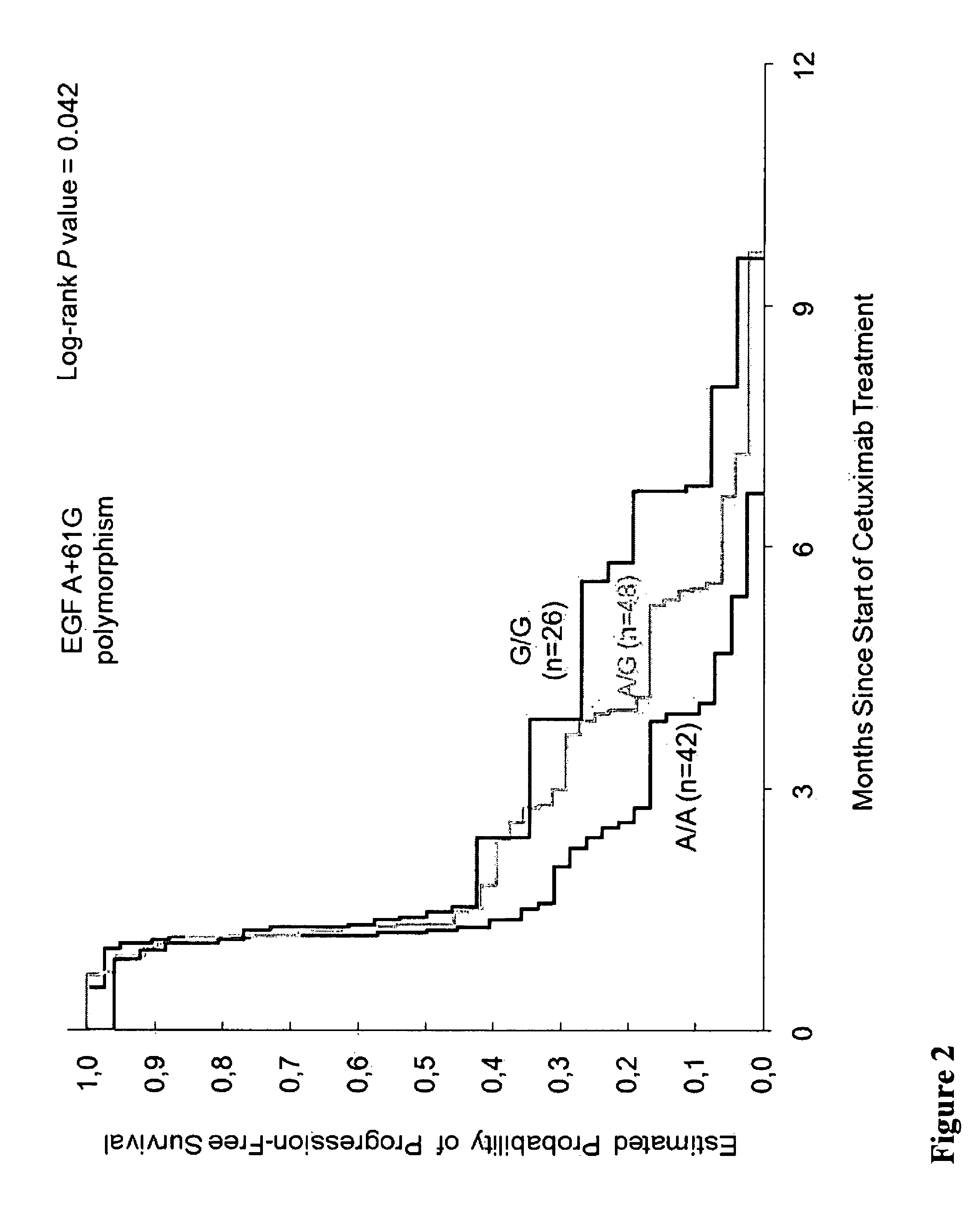 Polymorphisms in the EGFR pathway as markers for cancer treatment