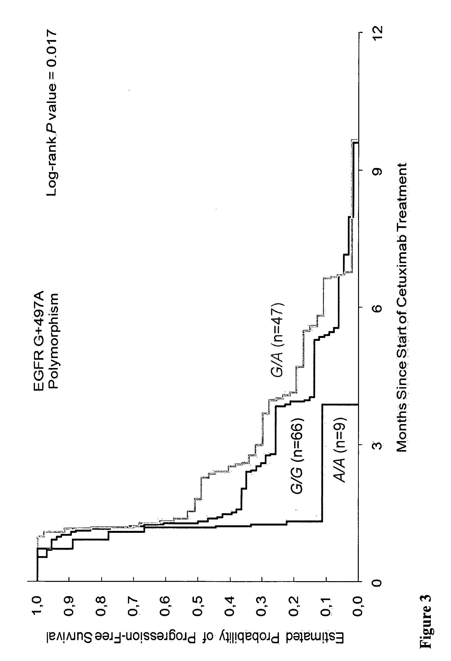 Polymorphisms in the EGFR pathway as markers for cancer treatment