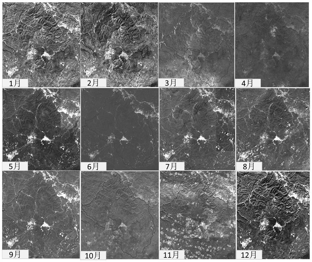 Forest tree species remote sensing fine classification method based on cloud platform