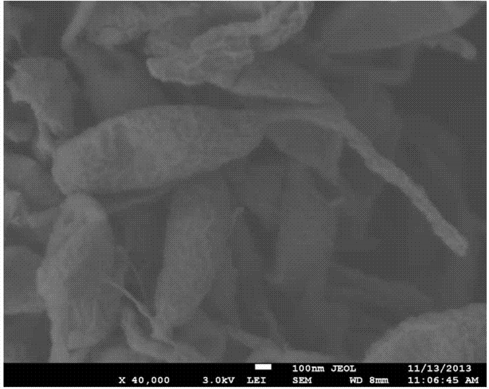 Pyrroloquinoline-quinone-producing Hyphomicrobium strain and application thereof